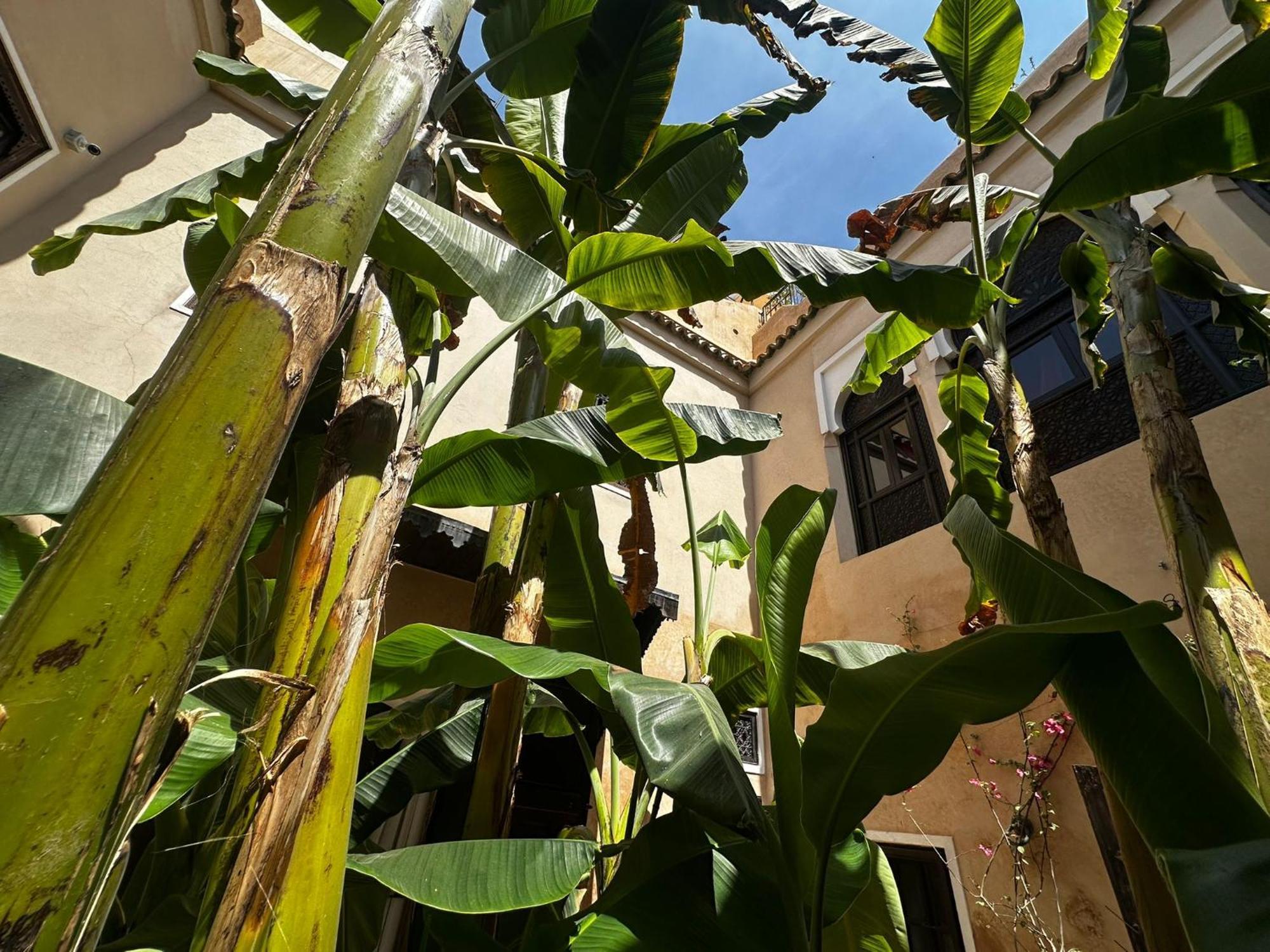 Riad Bamileke Marrakesh
