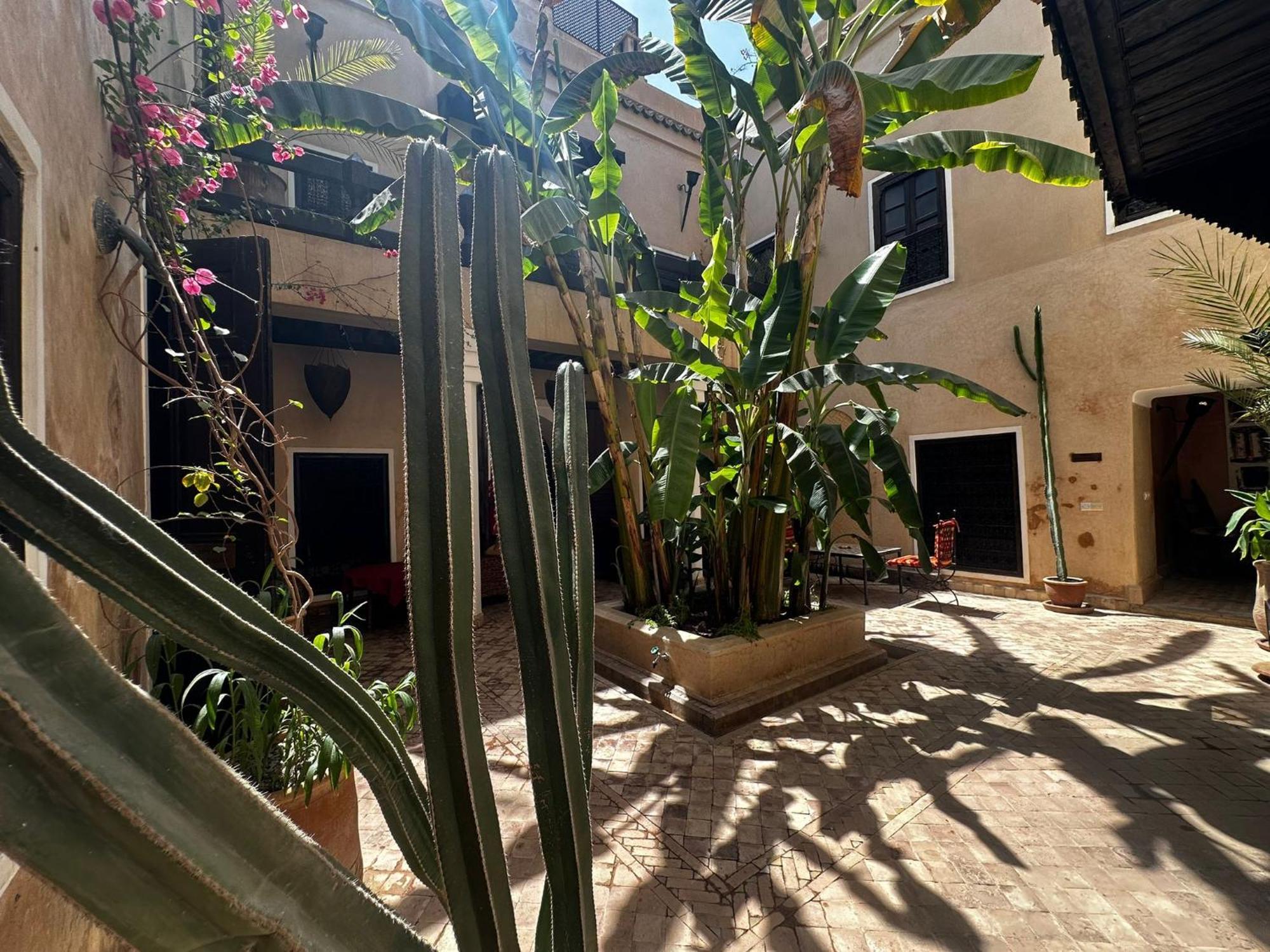 Bamileke Marrakesh